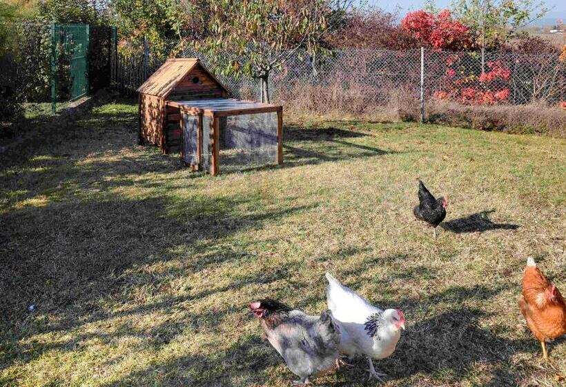 Отель Mercure Lyon Est Chaponnay