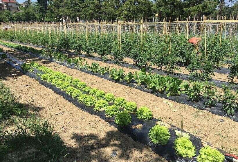 בית מלון כפרי Miramonti