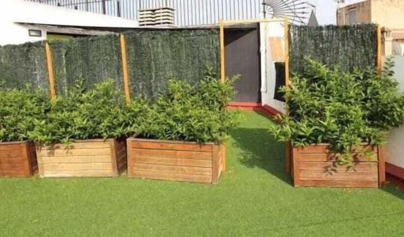 مسافرخانه Casa Gardenia