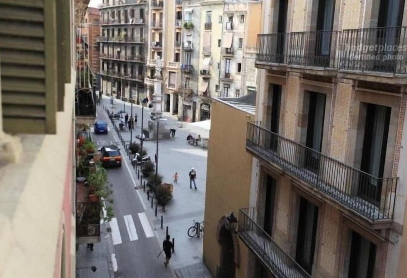 مسافرخانه Casa Gardenia