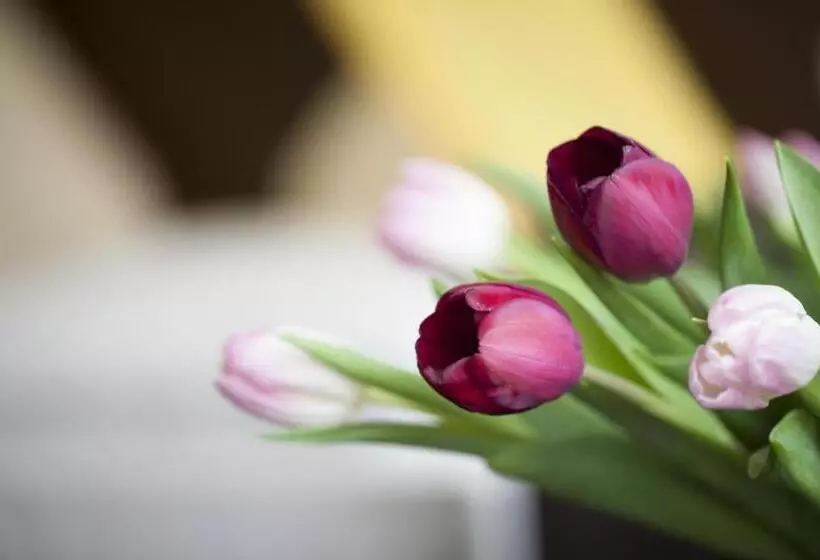 هتل Kiez Pension Berlin