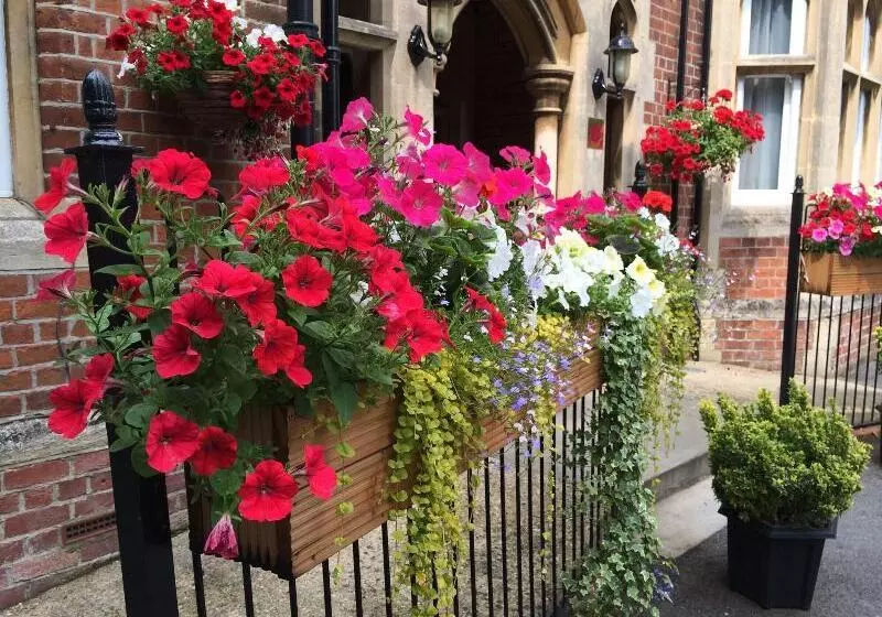 בית מלון כפרי Beech House