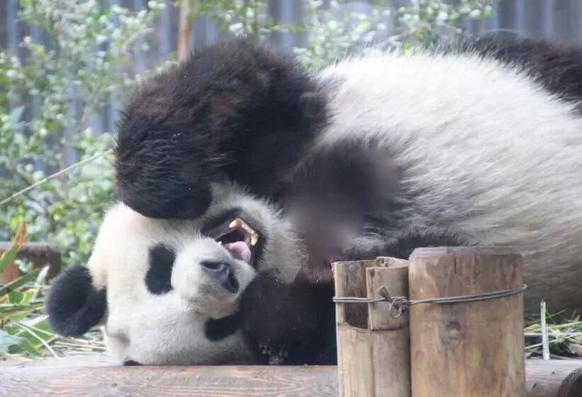 Day Nice Hotel Tokyo