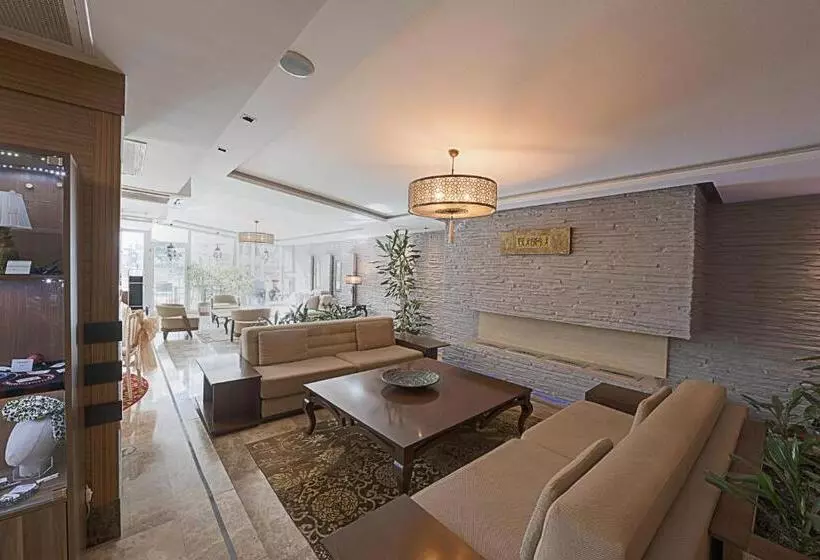 Dream Hill Business Deluxe Hotel Asia