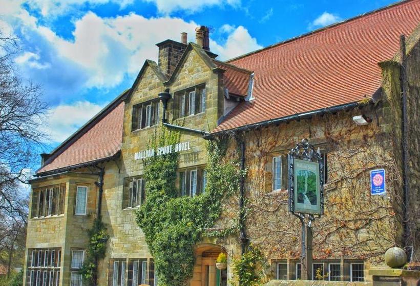 هتل Mallyan Spout