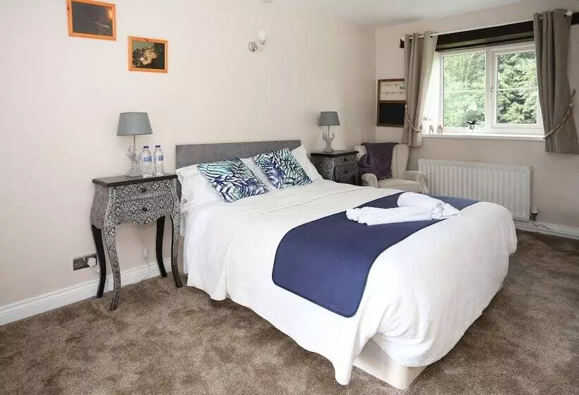 Отель Merrymouth Inn