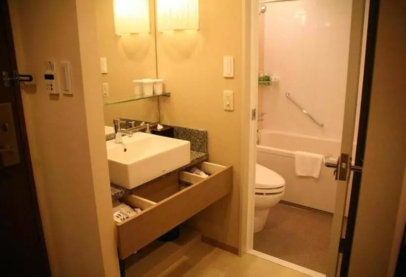 ホテル Ryumeikan Tokyo