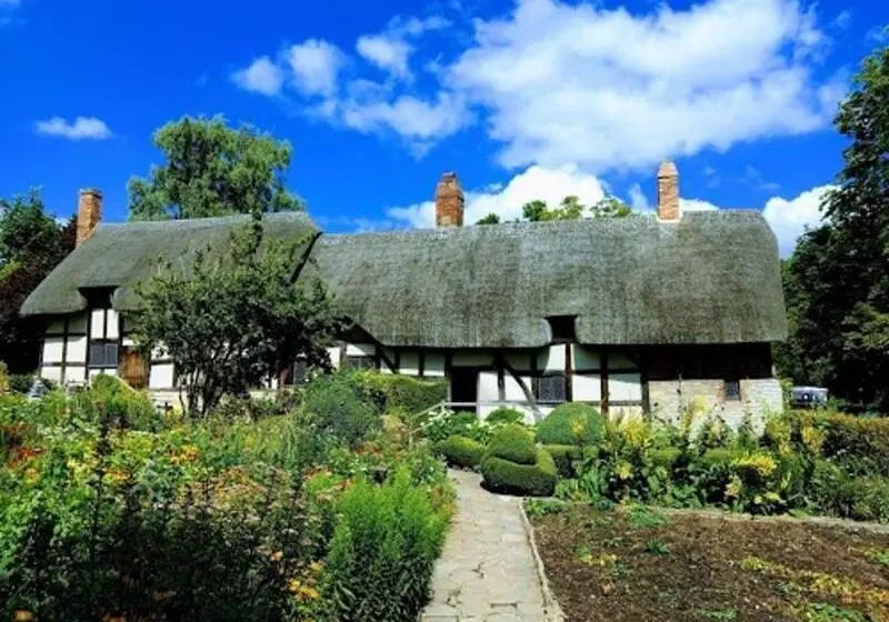 Отель The Blue Boar