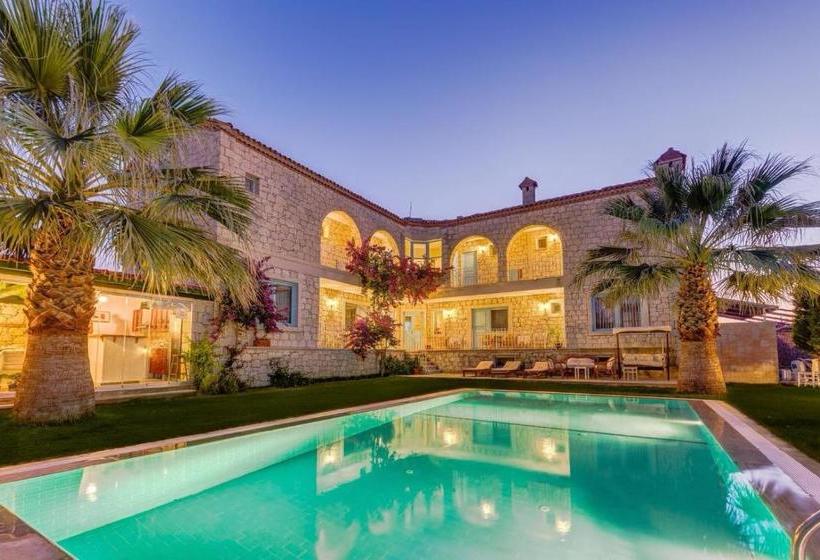 בית מלון כפרי Villa Fora