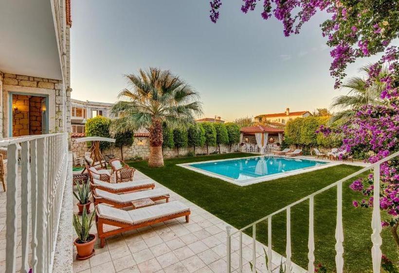 בית מלון כפרי Villa Fora