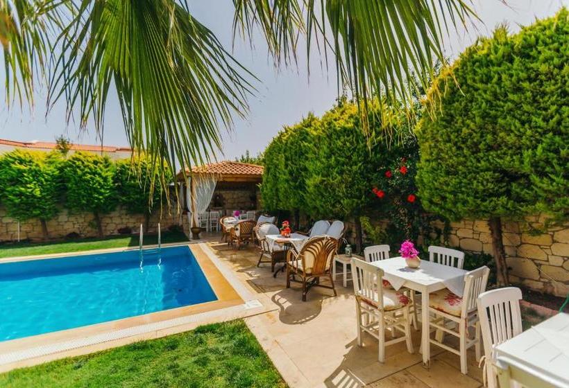 בית מלון כפרי Villa Fora