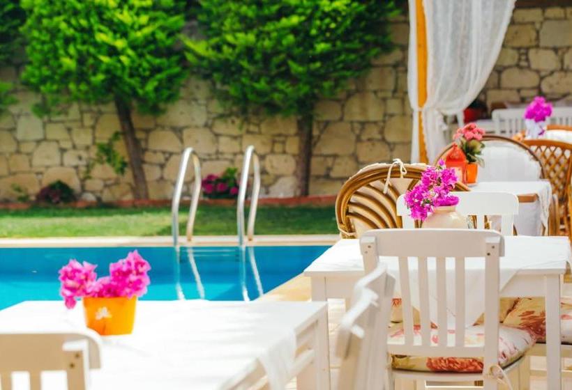 בית מלון כפרי Villa Fora