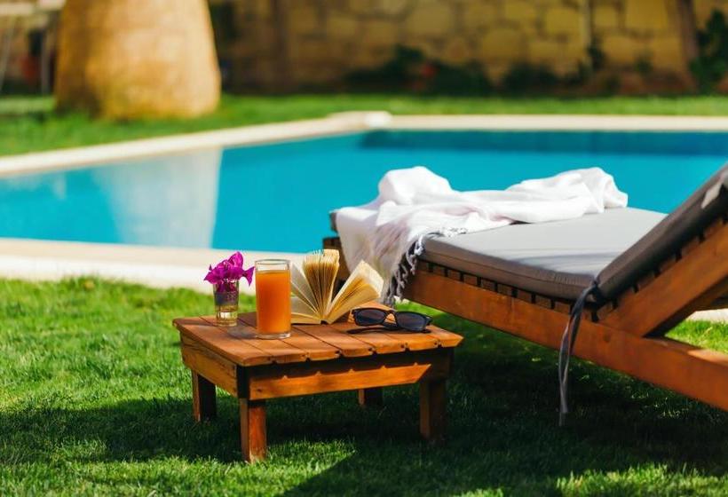 בית מלון כפרי Villa Fora