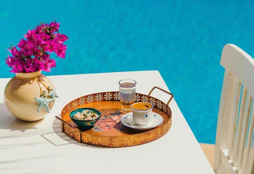 בית מלון כפרי Villa Fora