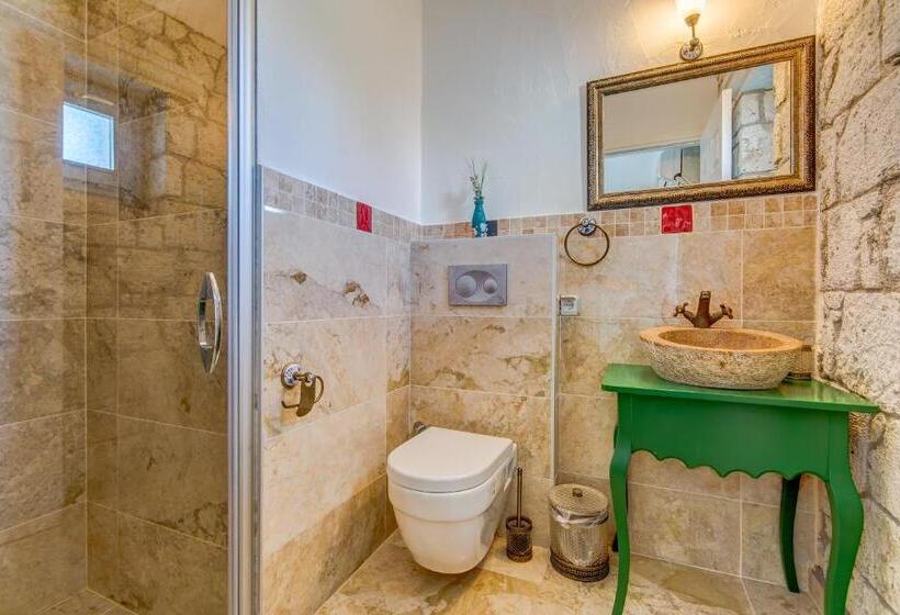 בית מלון כפרי Villa Fora