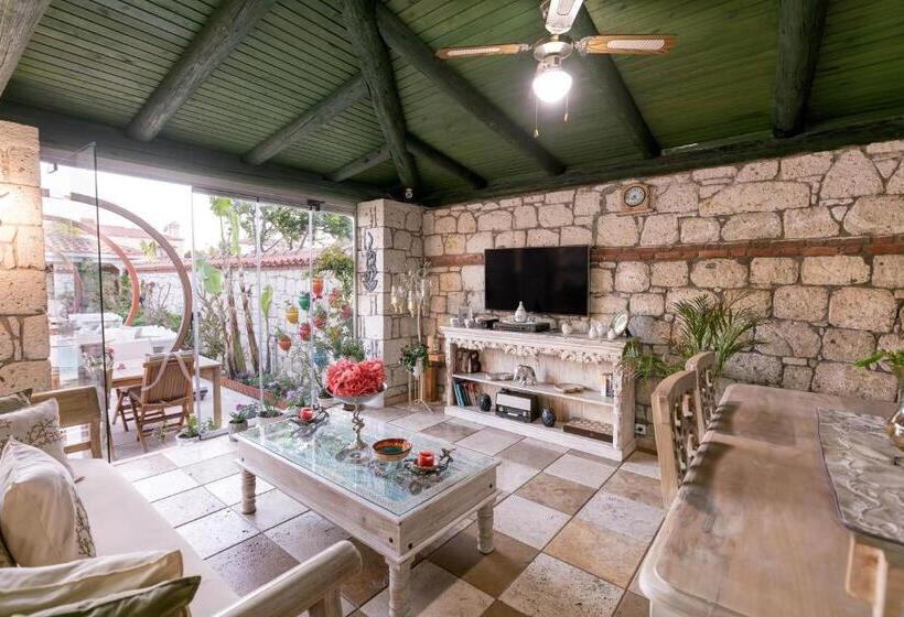 בית מלון כפרי Villa Fora