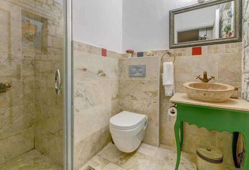 בית מלון כפרי Villa Fora