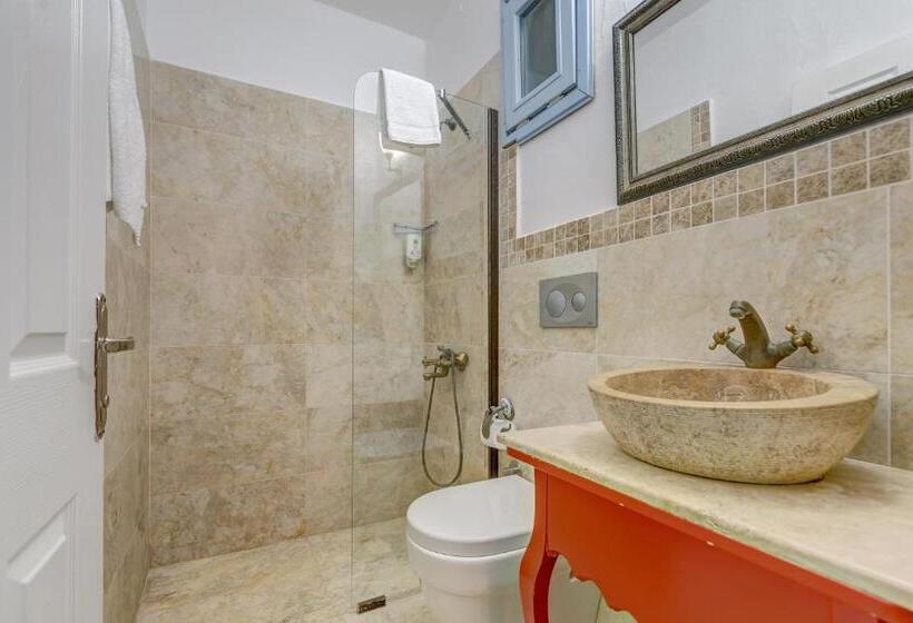 בית מלון כפרי Villa Fora