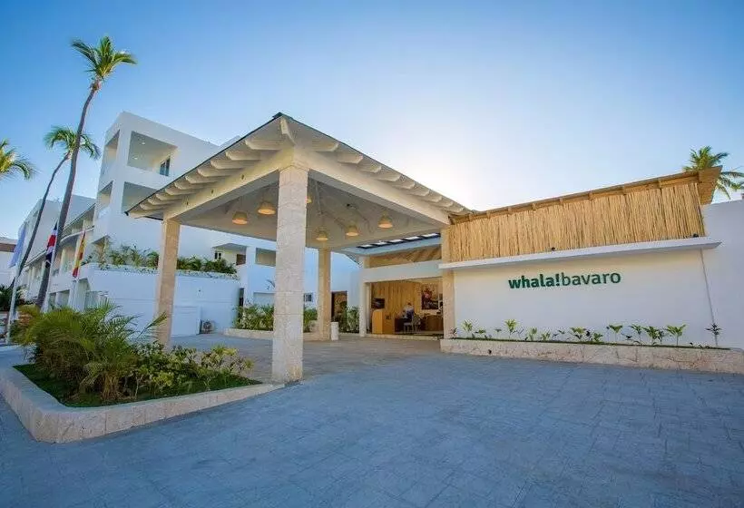 酒店 Whala! Bávaro - All Inclusive