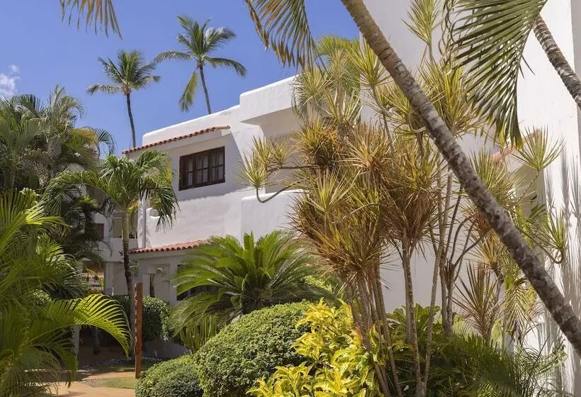 酒店 Whala! Bávaro - All Inclusive