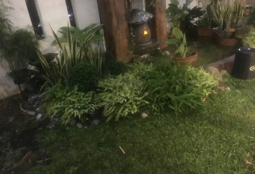 Casa Trias Hotel And Beach Resort