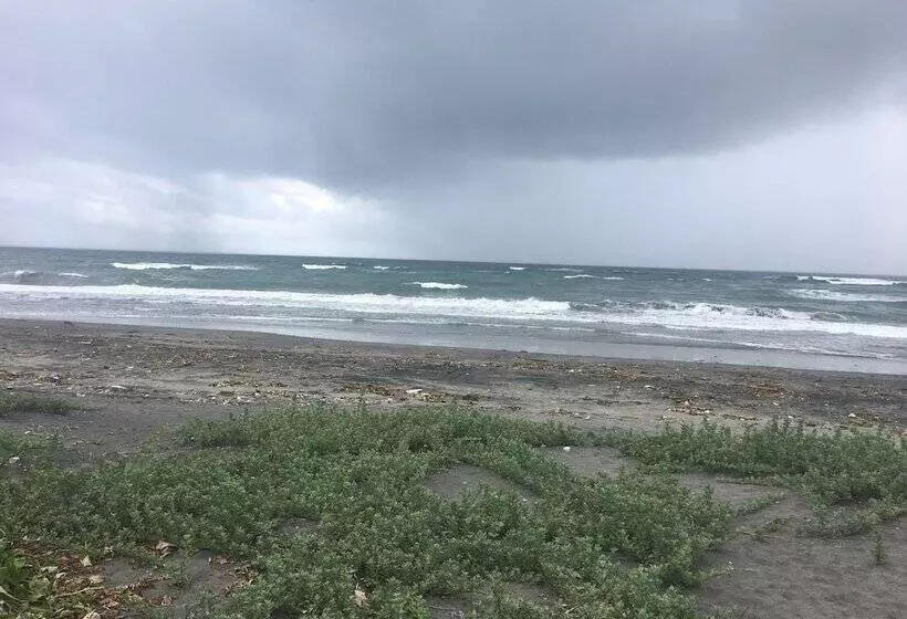 Casa Trias Hotel And Beach Resort