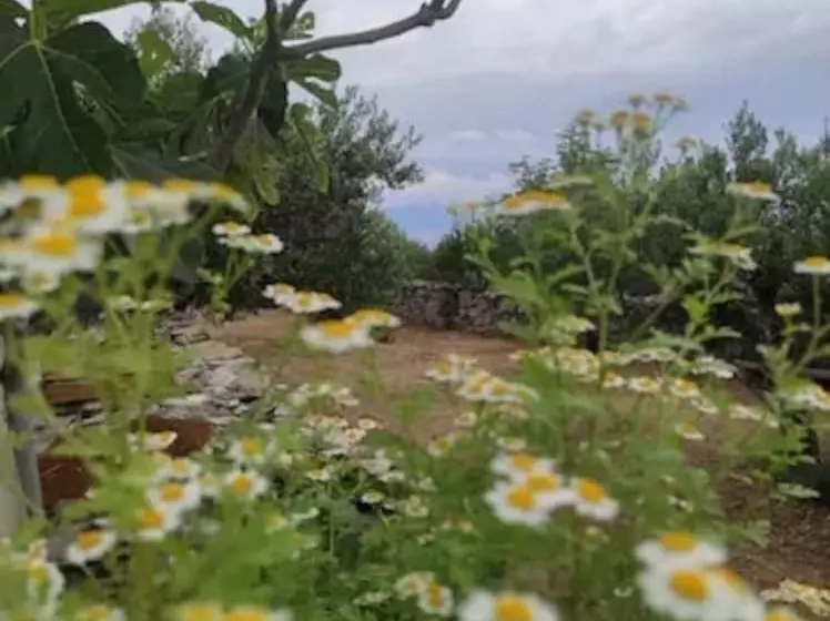 Lovely Cottage With Sea Views In Selca, Croatia