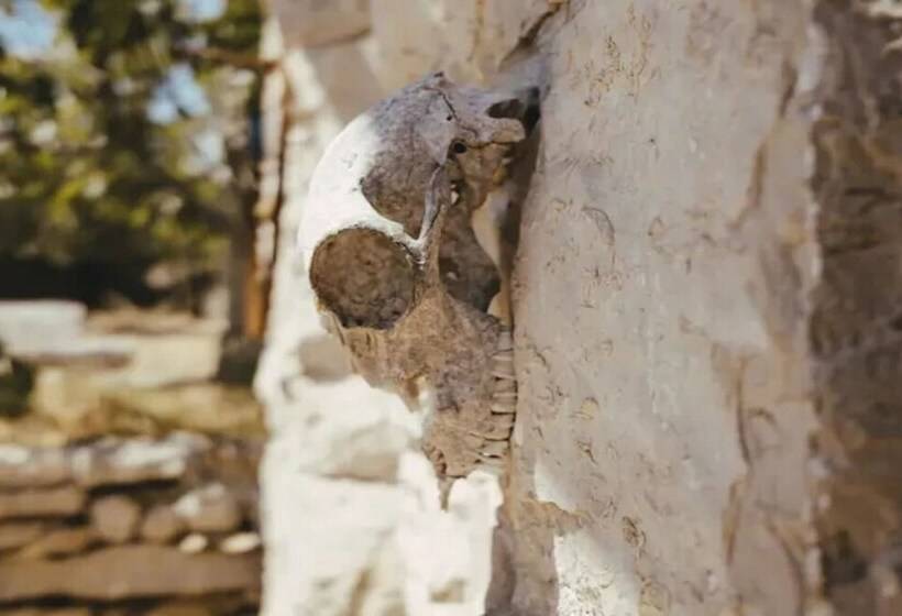 Lovely Cottage With Sea Views In Selca, Croatia