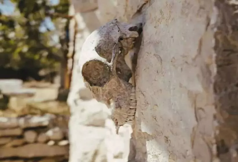 Lovely Cottage With Sea Views In Selca, Croatia