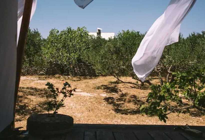 Lovely Cottage With Sea Views In Selca, Croatia