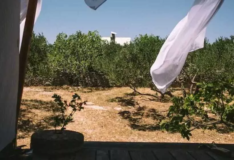 Lovely Cottage With Sea Views In Selca, Croatia