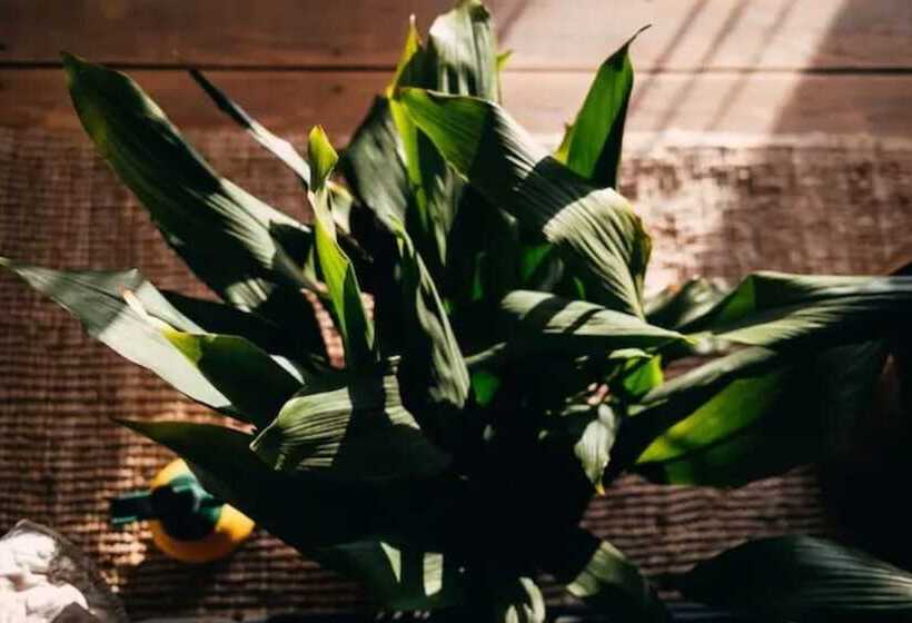 Lovely Cottage With Sea Views In Selca, Croatia