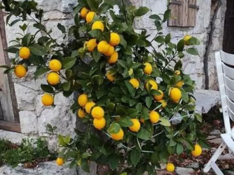 Lovely Cottage With Sea Views In Selca, Croatia