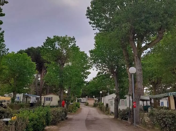 リゾートホテル Camping Les Jardins D Agathe