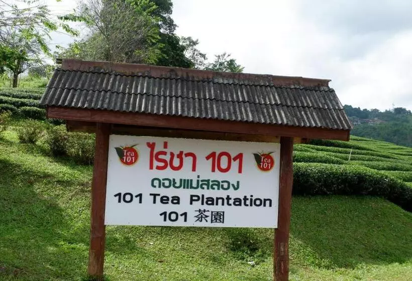 Hotelli Ama Maesalong