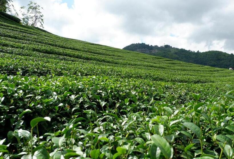 فندق Ama Maesalong