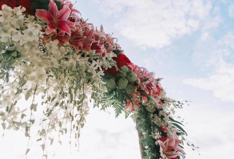 فندق Ama Maesalong