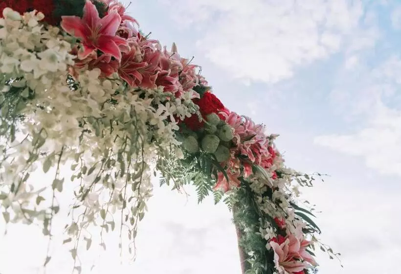 Hotelli Ama Maesalong