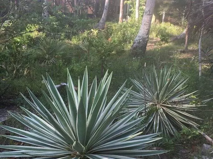 Hotelli Greenhouse Ecolodge