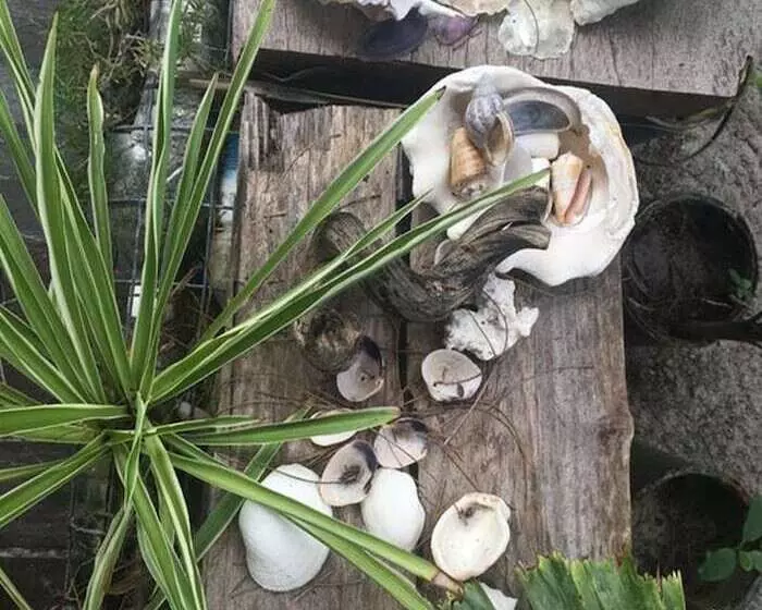 Hotelli Greenhouse Ecolodge