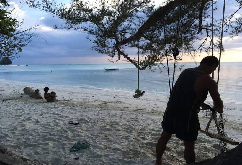 فندق Greenhouse Ecolodge