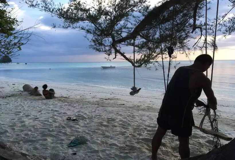 Hotelli Greenhouse Ecolodge