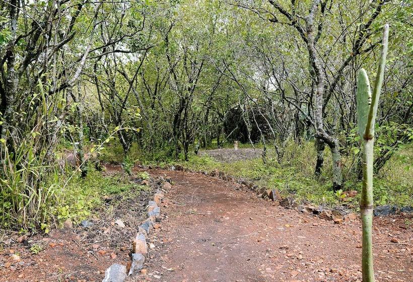 هتل Talek Olkinyei Camp