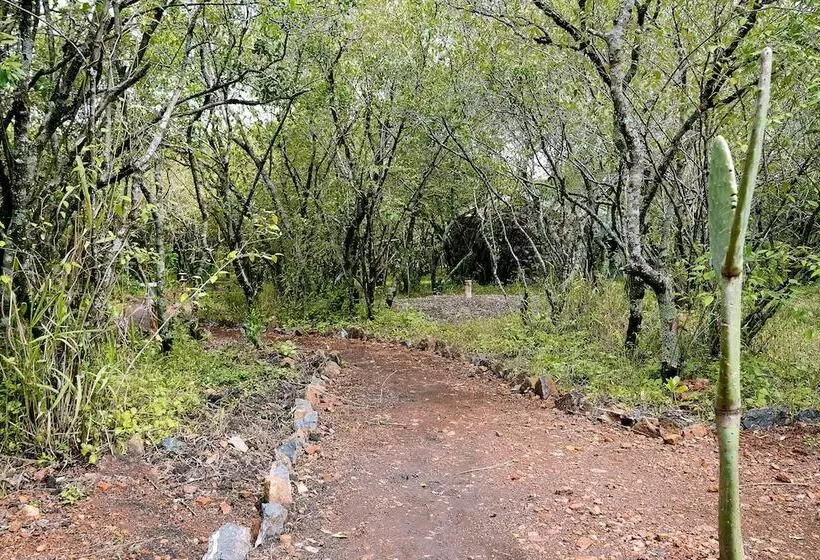 هتل Talek Olkinyei Camp