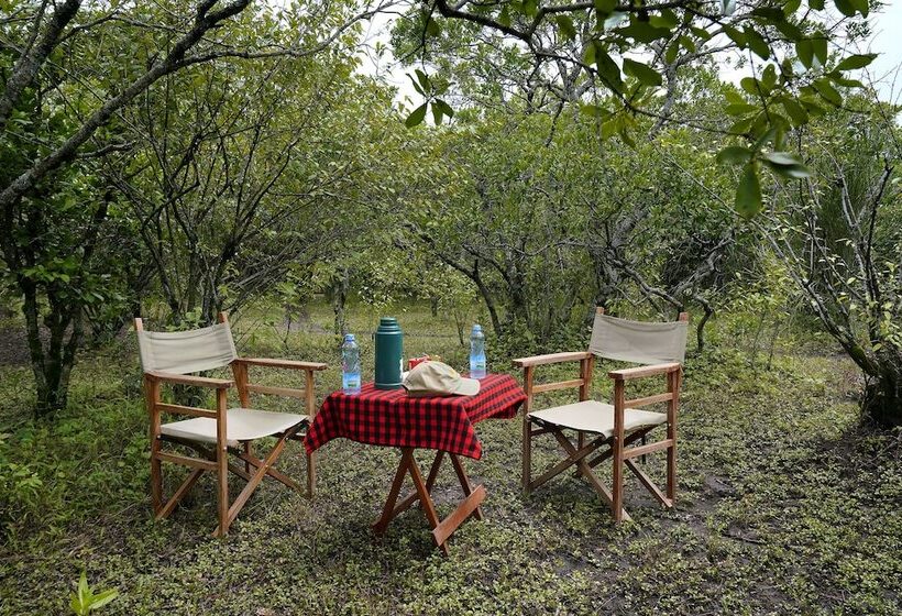 هتل Talek Olkinyei Camp