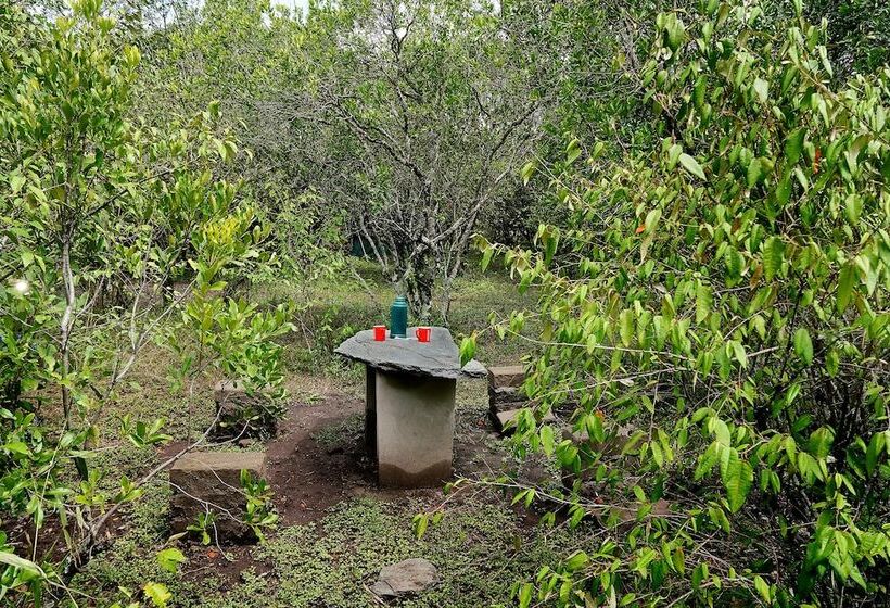 هتل Talek Olkinyei Camp