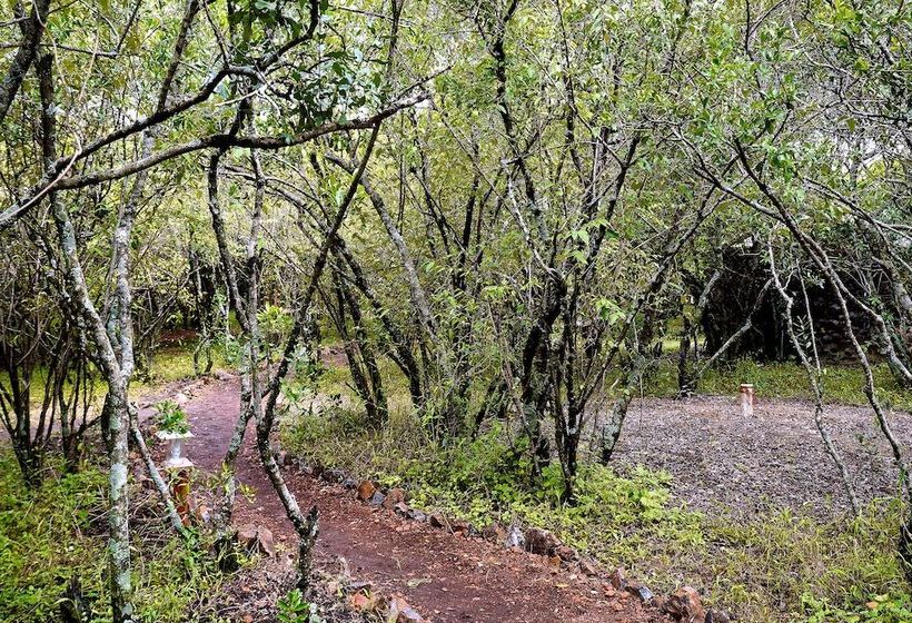 هتل Talek Olkinyei Camp