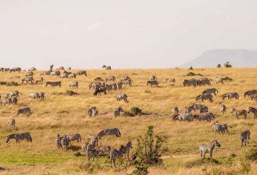 هتل Talek Olkinyei Camp
