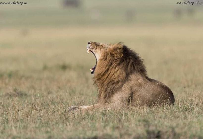 هتل Talek Olkinyei Camp