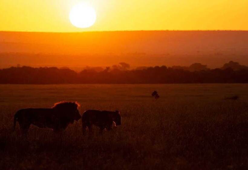 هتل Talek Olkinyei Camp